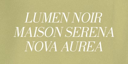 Selmora Font Poster 7