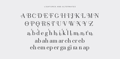 Selmora Font Poster 13