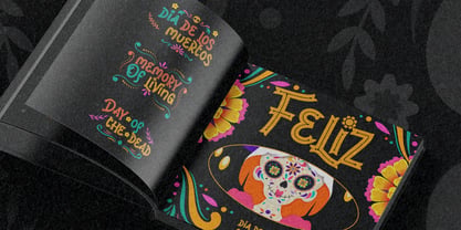 Brinca Calaca Font Poster 14