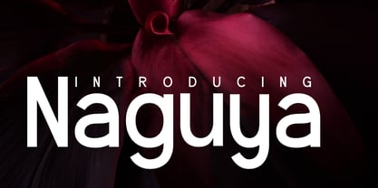 Naguya Font Poster 1
