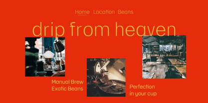 Elyasa Font Poster 13