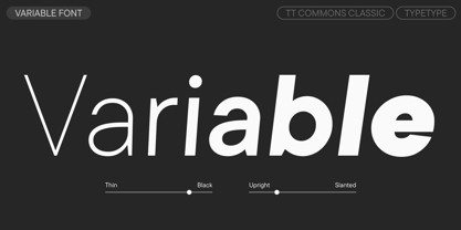 TT Commons Classic Font Poster 5