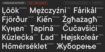 TT Commons Classic Font Poster 7