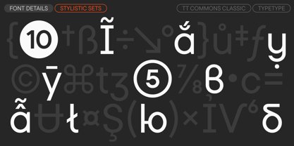 TT Commons Classic Font Poster 15