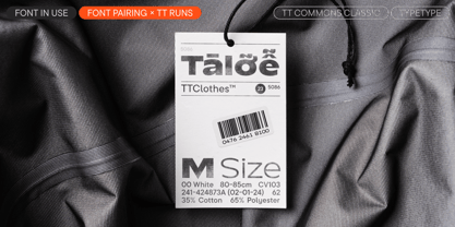 TT Commons Classic Font Poster 11