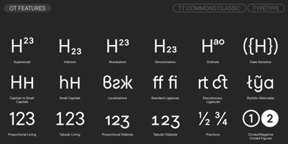 TT Commons Classic Font Poster 12