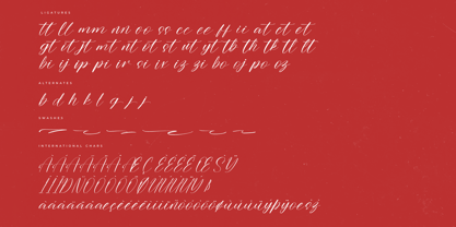 Sentinel Liberty Font Poster 7