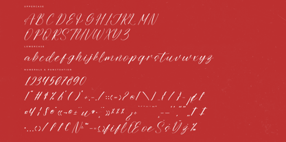 Sentinel Liberty Font Poster 6