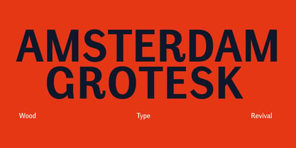 Amsterdam Grotesk Variable Font Poster 1