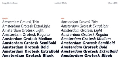 Amsterdam Grotesk Variable Font Poster 2