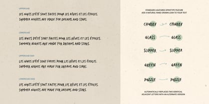 Markerism Font Poster 10