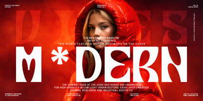 Nabsor Font Poster 5