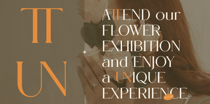 Sovelis Font Poster 5