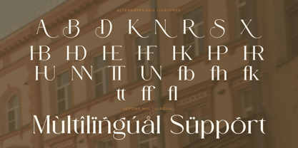 Sovelis Font Poster 9
