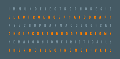 Modeva Font Poster 9