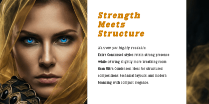 Aristone Slab Font Poster 6