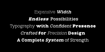 Aristone Slab Font Poster 8