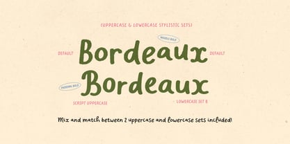 Charliney Font Poster 9