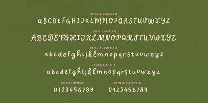 Charliney Font Poster 12