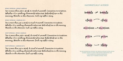 Charliney Font Poster 11
