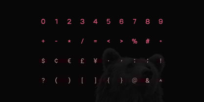 Gypsy Nue Font Poster 8