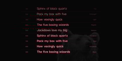 Gypsy Nue Font Poster 4