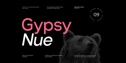 Gypsy Nue Font Poster 1
