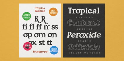 South Costalina Font Poster 10