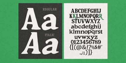 South Costalina Font Poster 11
