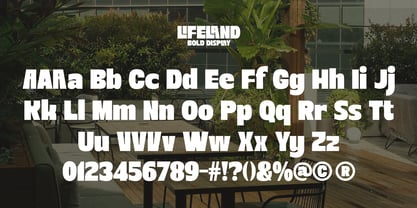 Lifeland Font Poster 6