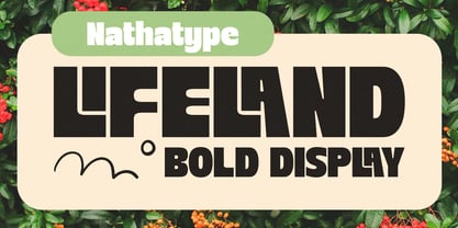 Lifeland Font Poster 1