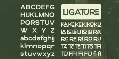 Heroxin Font Poster 9