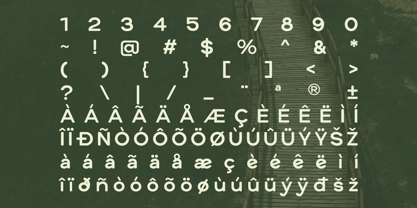 Heroxin Font Poster 10