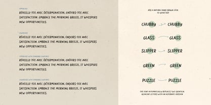 Inspirato Font Poster 10