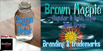 Brown Magpie Font Poster 6