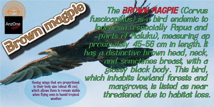 Brown Magpie Font Poster 7