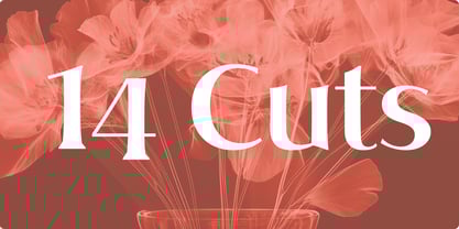 Style Bloom Font Poster 10