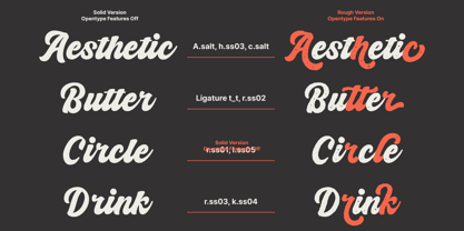 Badgery Font Poster 8