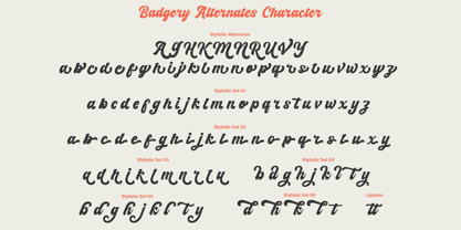 Badgery Font Poster 10