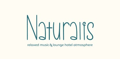 Novaline Font Poster 2