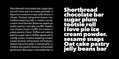 Captura Now Core Edition Font Poster 3