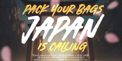 White Shadows Font Poster 8