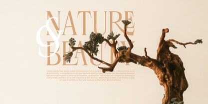 Rosevine Font Poster 3