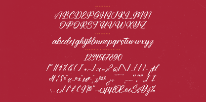Burger Champ Font Poster 7