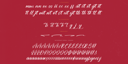 Burger Champ Font Poster 8