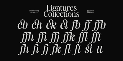 Estetika Maison Font Poster 11