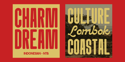 Altus Moritile Font Poster 3