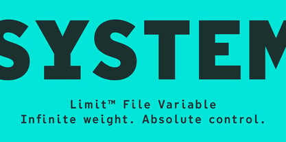 Limit File Variable Concept Font Poster 2