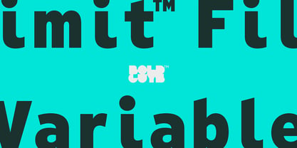 Limit File Variable Concept Font Poster 1
