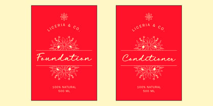 Comtic Hiden Font Poster 4